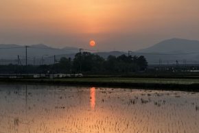 photo07